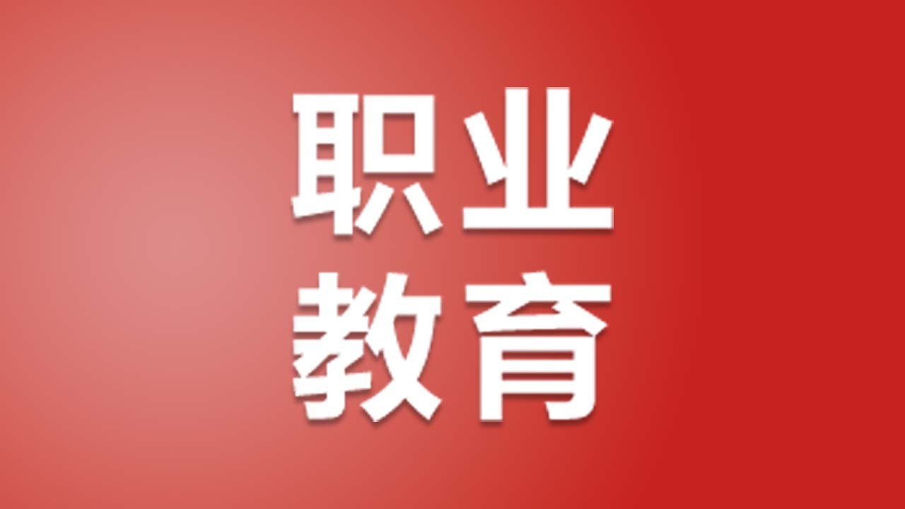 2024职业教育改革与发展报告