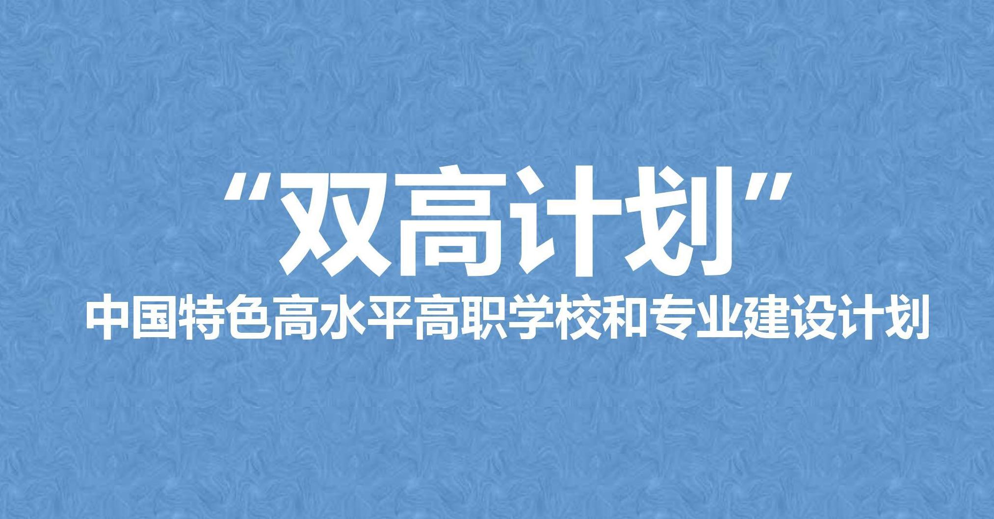  新双高即“办学能力高水平、产教融合高质量”