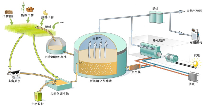 生物质燃气实验需要大量的实体设施投入，提高了实验教学的难度和门槛